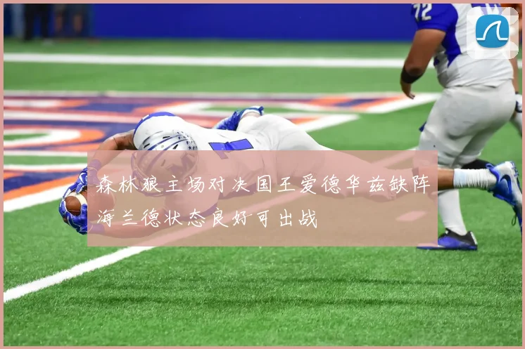 森林狼主场对决国王爱德华兹缺阵海兰德状态良好可出战