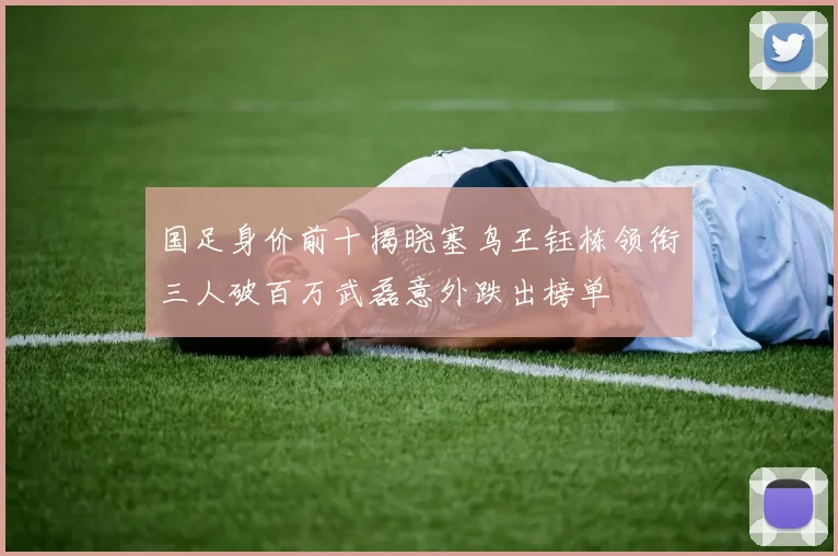 国足身价前十揭晓塞鸟王钰栋领衔三人破百万武磊意外跌出榜单