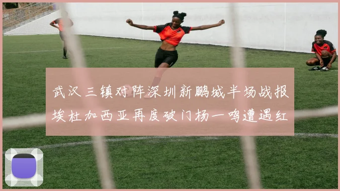 武汉三镇对阵深圳新鹏城半场战报埃杜加西亚再度破门杨一鸣遭遇红牌处罚