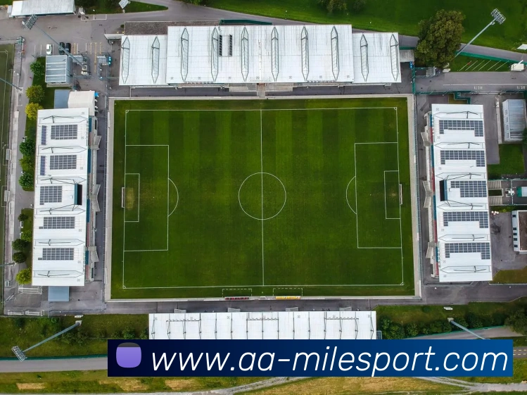 多媒体互动体验