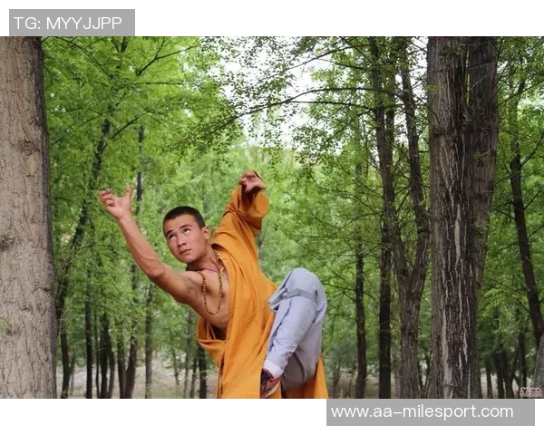 削发明志重返少林文班武僧之路我也变得更强大了